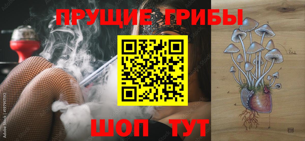 Галлюциногенные грибы прущие грибы  Вход с VPN  Сафоново  Галлюциногенные грибы MAGIC MUSHROOMS 